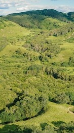 landscape of saihanba national forest park, which is a national forest park located in weichang manchu and mongol autonomous county, chengde, hebei, china