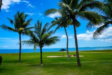 fijian iconic palm trees in denarau,  nadi, fiji