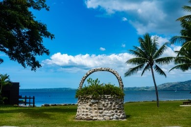 palm trees on a iconic hotel in fiji islands