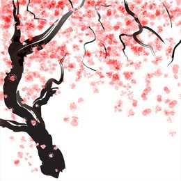 japanese cherry tree blossom. watercolor