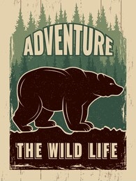retro poster with picture of wild bear