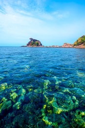 scenic sea view of the kapas island (cotton island) at terengganu, malaysia. clear sea water and blue sky background. 