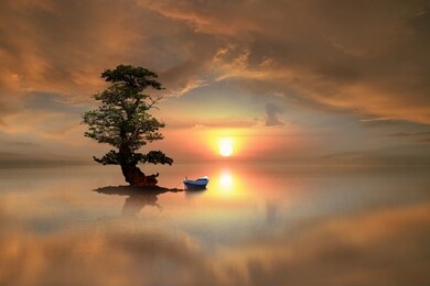 lonely tree and a boat
