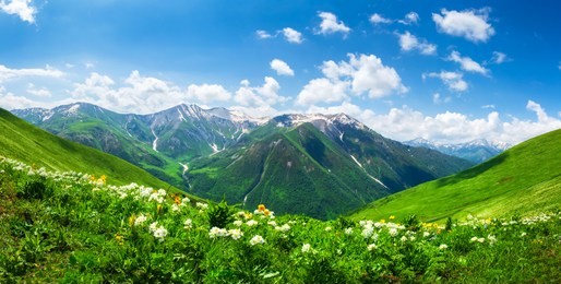 amazing mountain landscape in georgia on sunny summer day. alpine green meadow in caucasus highlands. idyllic valley in svaneti mountains.