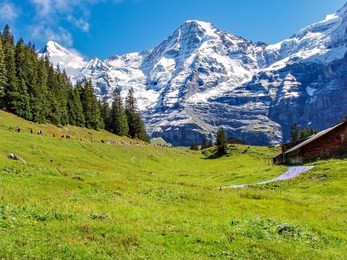 marathon runners at the mounts eiger, moench and jungfrau in the jungfrau region - switzerland