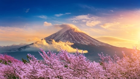 fuji mountain and cherry blossoms in spring, japan.