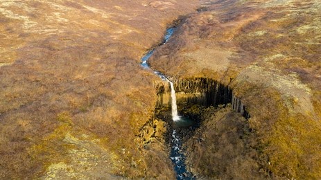 aerial view of svartifoss waterfall accompanied with golden colored flora