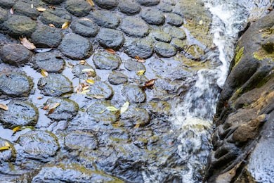 stone carvings in the river at kbal spean,cambodia