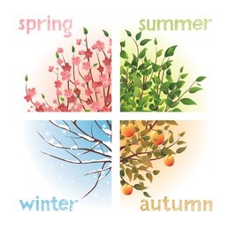 4 seasons in 1 tree