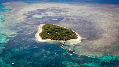 aerial view of stunning green island in the great barrier reef off the coast of cairns in tropical north queensland, australia