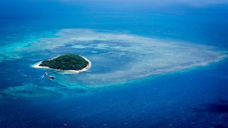 aerial view of stunning green island in the great barrier reef off the coast of cairns in tropical north queensland, australia