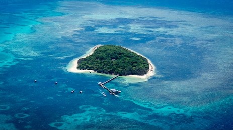 aerial view of stunning green island in the great barrier reef off the coast of cairns in tropical north queensland, australia