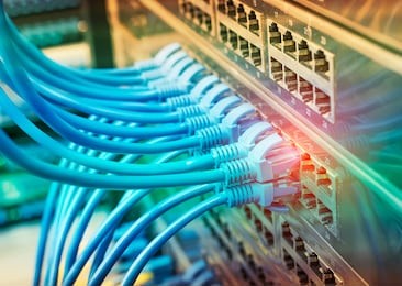 network cable connecting on network core switch close up