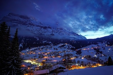 starry night in grindelwald, switzerland