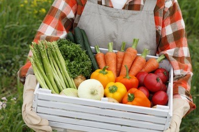 harvest of vegetables