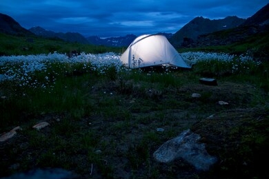 bright tent in field of flowers in hatcher's pass alaska. a dark moody vibe in a camping environment at night.