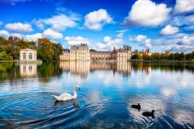 swan lake in front of fontainebleau castle, france