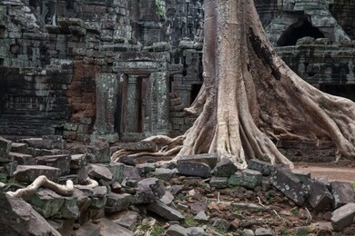  banteay kdei temple, angkor wat, cambodia