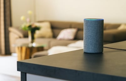 voice controlled speaker and personal assistent at home