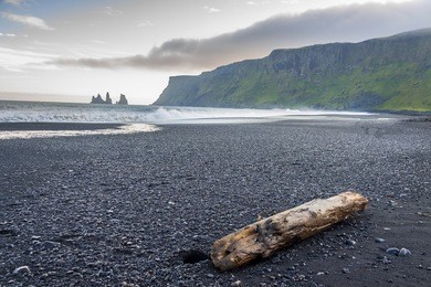 beauty dark sandy beach in background dyrholaey stone - vik, iceland. summer sunny day.
