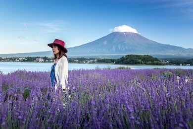mount fuji at lake kawaguchiko. 