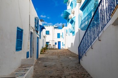 cityscape with typical white blue colored houses in resort town sidi bou said. tunisia, north africa.