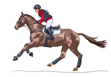 equestrian sport, eventing, horse and rider in vector illustration