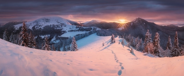 fantastic evening and morning winter landscape. colorful overcast sky. beauty world  magical snow covered tree. in anticipation of the holiday. dramatic wintry scene. carpathian mountains, europe
