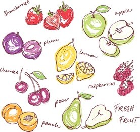fruit doodles seamless vector