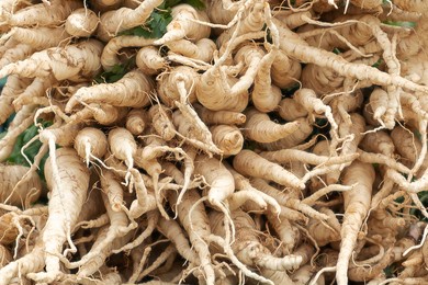 人参中药补品_站酷海洛_正版图片_视频_字体_音乐素材交易平台_站酷旗