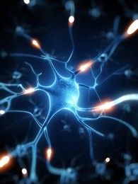3d rendered illustration - nerve cell