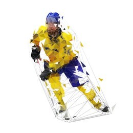 hockey player, low polygonal isolated vector illustration. ice hockey, team winter sport