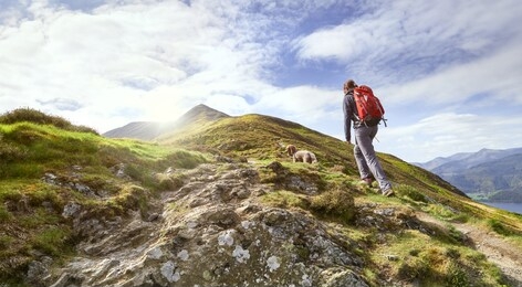 a hiker walking up a mountain ridge, the edge, towards ullock pike, carl side and skiddaw in the english lake district uk.