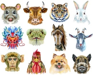 design watercolor set with twelve chinese zodiac animals