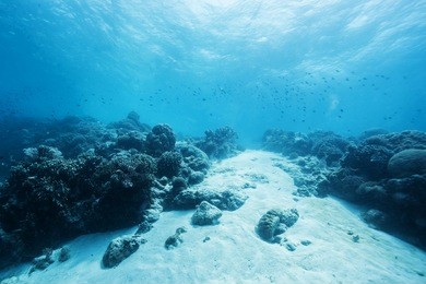 bottom of the ocean
