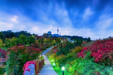 sunrise and autumn at numsan park best landmark in  seoul,south korea and n seoul tower
