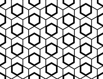the geometric pattern with lines. seamless background. white and black texture. graphic modern pattern. simple lattice graphic design