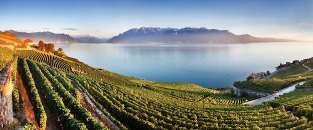 aerial panoramic view of the city of vevey at lake geneva with vineyards of famous lavaux wine region on a beautiful sunny day with blue sky in summer, canton of vaud, switzerland