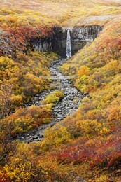 iceland svartifoss autumn