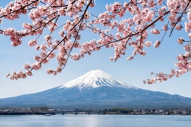 mount fuji with cherry blossom during spring season, kawaguchiko, japan