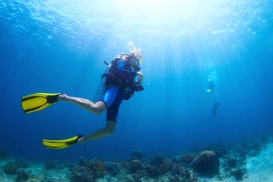 underwater shoot of a divers swimming in a blue clear water