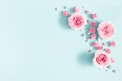 flowers composition. frame made of rose flowers on pastel blue background. valentines day, mothers day, womens day, spring concept. flat lay, top view, copy space