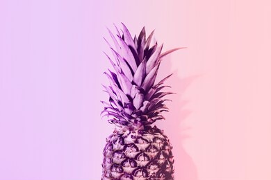 summer concept. pineapple in duotone neon color. pink and violet color. 