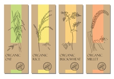 vector set of cereal labels with grains and plants sketches: oat, rice, buckwheat and millet. healthy food, bio, organic, natural product