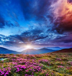 majestic sunset in the mountains landscape. overcast sky before storm. carpathian, ukraine, europe. beauty world.