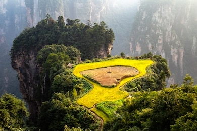 spectacular rice terrace, called the “air garden”, in front of laowuchang village, in yuanjiajie area of wulingyuan national park, zhangjiajie, china. this national park inspired “avatar” movie