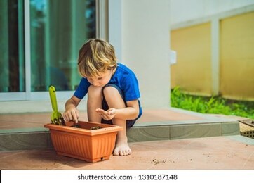little cute boy sows seeds in a flower pot in the garden