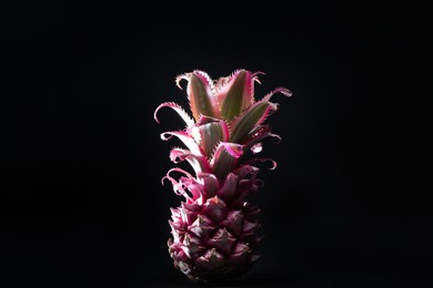 decorative pineapple in vibrant pink neon colors isolated on black background. concept art. minimal surrealism background.