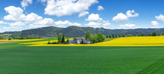 farm amidst of agricultural fields in spring in rural landscape