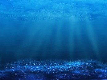 the underwater world